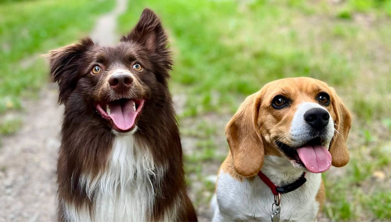 Forêt des Grangettes