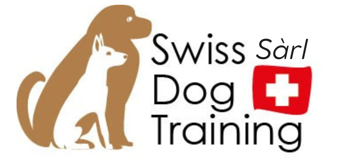 Swiss Dog Training
