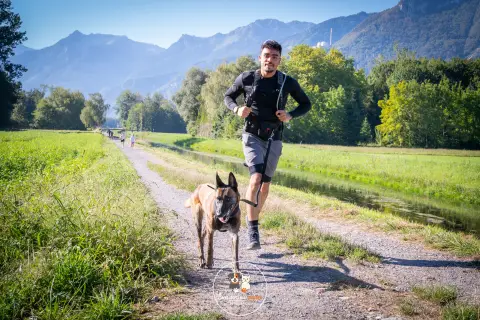 Photo de Bien dans mes pattes 2026