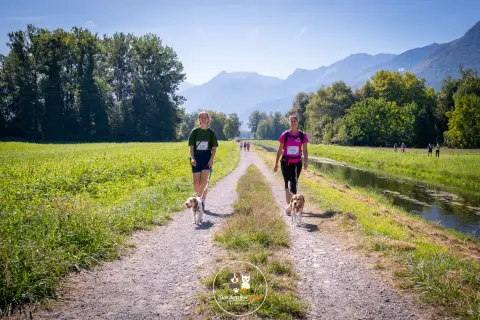 Photo de Bien dans mes pattes 2026