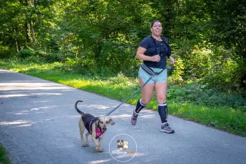 Photo de Bien dans mes pattes 2026