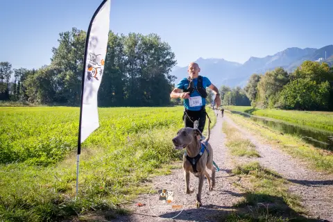 Photo de Bien dans mes pattes 2026